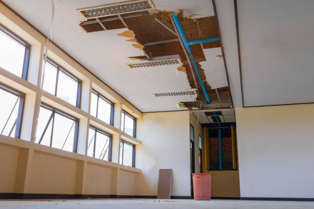 Best Water damage contractors near me  in Paonia, CO
