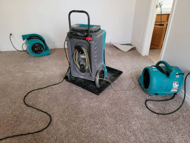 Water damage restoration insurance claims in Paonia, CO