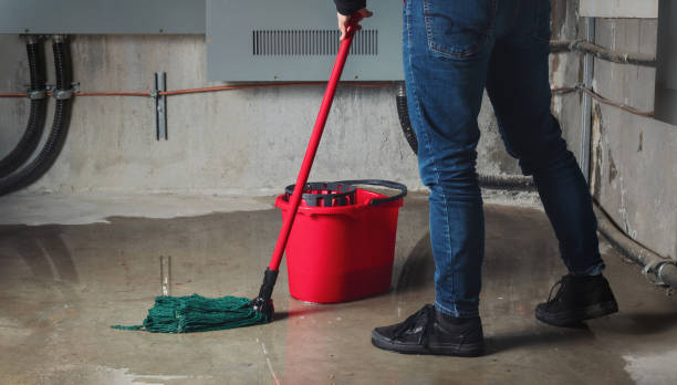 Best Water damage cleanup near me  in Paonia, CO