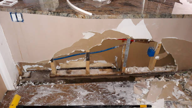 Best Emergency water damage restoration  in Paonia, CO
