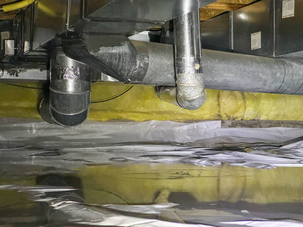 Best Mold removal after water damage  in Paonia, CO